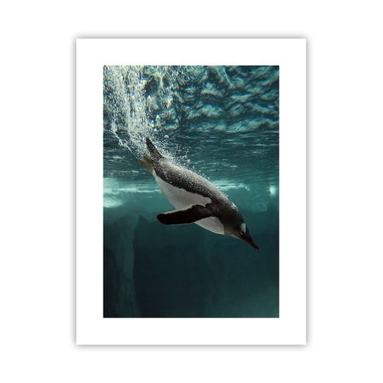 Obraz - Plakat - Witaj w moim świecie - 30x40cm - Pingwin Zwierzęta Natura - Foto Plakaty na ścianę bez ramy - Plakat do Salonu Sypialni ARTTOR ARTTOR