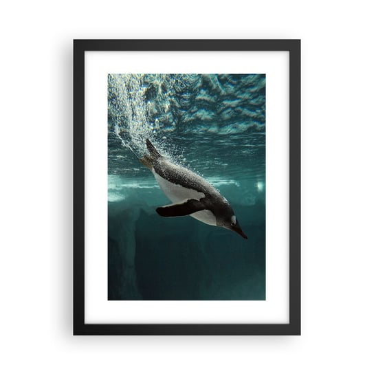 Obraz - Plakat - Witaj w moim świecie - 30x40cm - Pingwin Zwierzęta Natura - Foto Plakaty na ścianę w czarnej ramie - Plakat do Salonu Sypialni ARTTOR ARTTOR