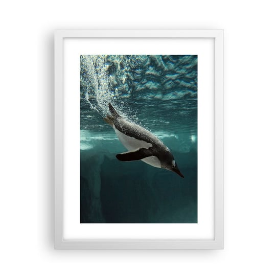 Obraz - Plakat - Witaj w moim świecie - 30x40cm - Pingwin Zwierzęta Natura - Foto Plakaty na ścianę w ramie białej - Plakat do Salonu Sypialni ARTTOR ARTTOR