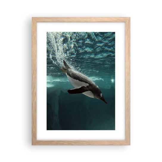Obraz - Plakat - Witaj w moim świecie - 30x40cm - Pingwin Zwierzęta Natura - Foto Plakaty na ścianę w ramie jasny dąb - Plakat do Salonu Sypialni ARTTOR ARTTOR