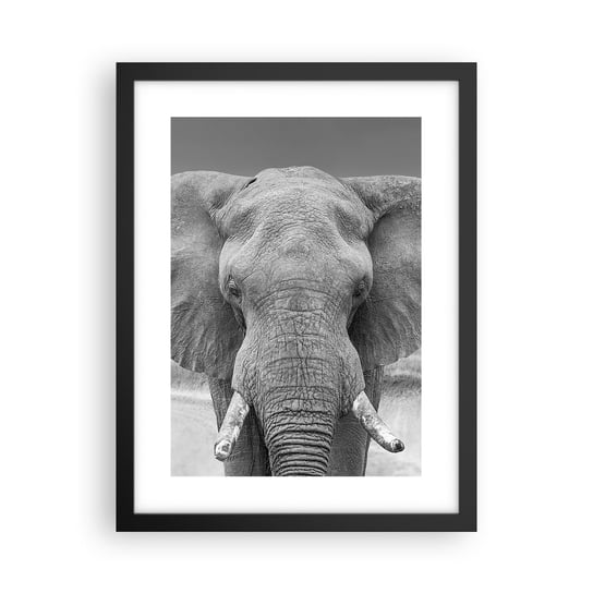 Obraz - Plakat - Witaj w moim świecie - 30x40cm - Słoń Afryka Zwierzęta - Foto Plakaty na ścianę w czarnej ramie - Plakat do Salonu Sypialni ARTTOR ARTTOR