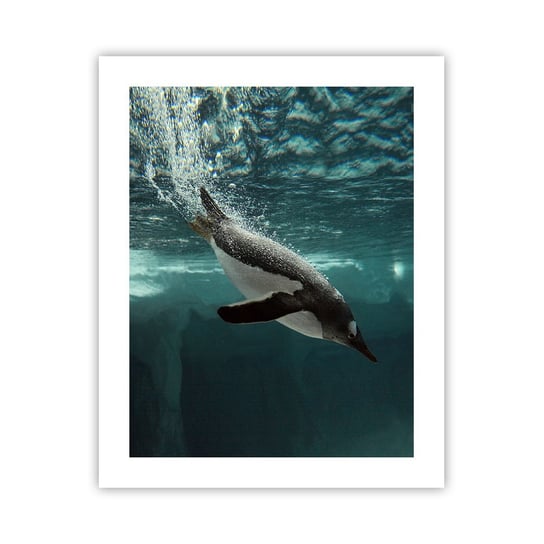 Obraz - Plakat - Witaj w moim świecie - 40x50cm - Pingwin Zwierzęta Natura - Foto Plakaty bez ramy do Salonu Sypialni ARTTOR ARTTOR