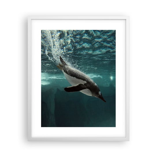 Obraz - Plakat - Witaj w moim świecie - 40x50cm - Pingwin Zwierzęta Natura - Foto Plakaty w ramie koloru białego do Salonu Sypialni ARTTOR ARTTOR