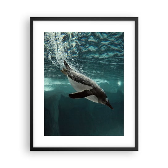 Obraz - Plakat - Witaj w moim świecie - 40x50cm - Pingwin Zwierzęta Natura - Foto Plakaty w ramie koloru czarnego do Salonu Sypialni ARTTOR ARTTOR