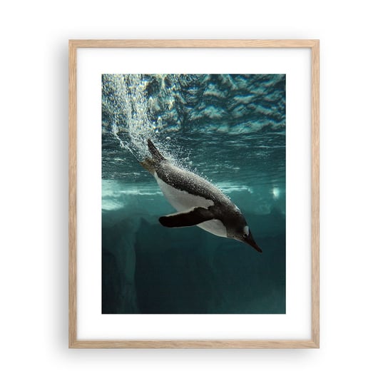 Obraz - Plakat - Witaj w moim świecie - 40x50cm - Pingwin Zwierzęta Natura - Foto Plakaty w ramie koloru jasny dąb do Salonu Sypialni ARTTOR ARTTOR