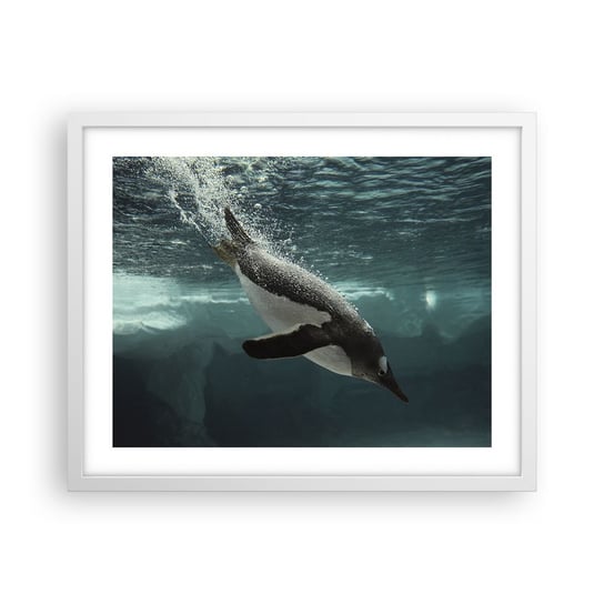 Obraz - Plakat - Witaj w moim świecie - 50x40cm - Pingwin Zwierzęta Natura - Foto Plakaty w ramie koloru białego do Salonu Sypialni ARTTOR ARTTOR
