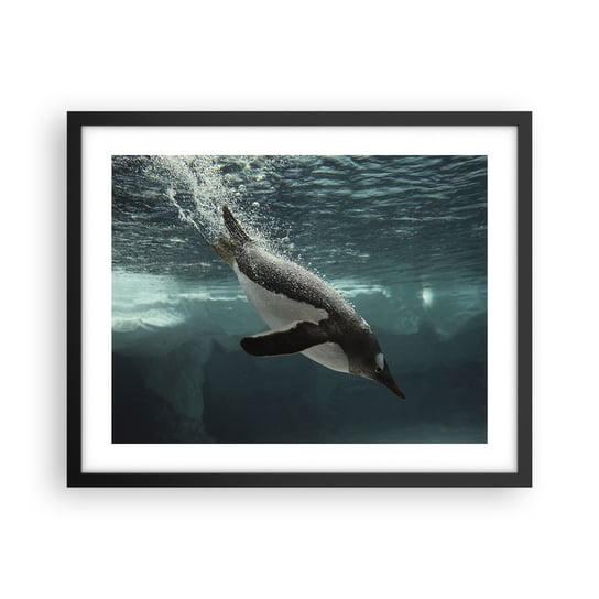 Obraz - Plakat - Witaj w moim świecie - 50x40cm - Pingwin Zwierzęta Natura - Foto Plakaty w ramie koloru czarnego do Salonu Sypialni ARTTOR ARTTOR