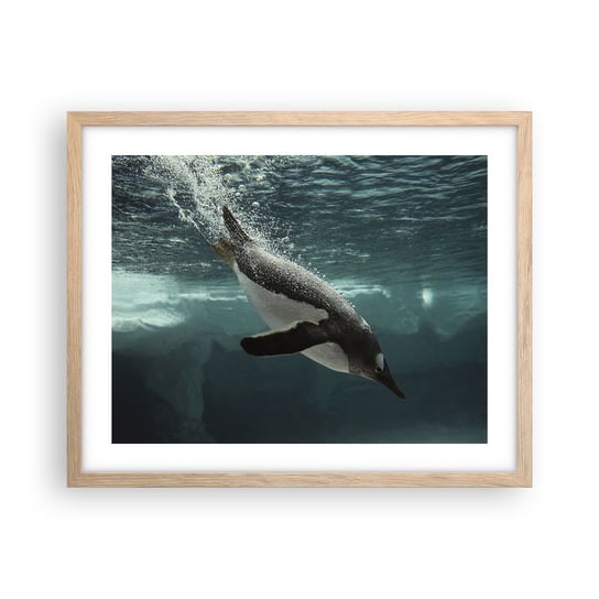 Obraz - Plakat - Witaj w moim świecie - 50x40cm - Pingwin Zwierzęta Natura - Foto Plakaty w ramie koloru jasny dąb do Salonu Sypialni ARTTOR ARTTOR