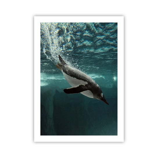 Obraz - Plakat - Witaj w moim świecie - 50x70cm - Pingwin Zwierzęta Natura - Nowoczesny modny obraz Plakat bez ramy do Salonu Sypialni ARTTOR ARTTOR