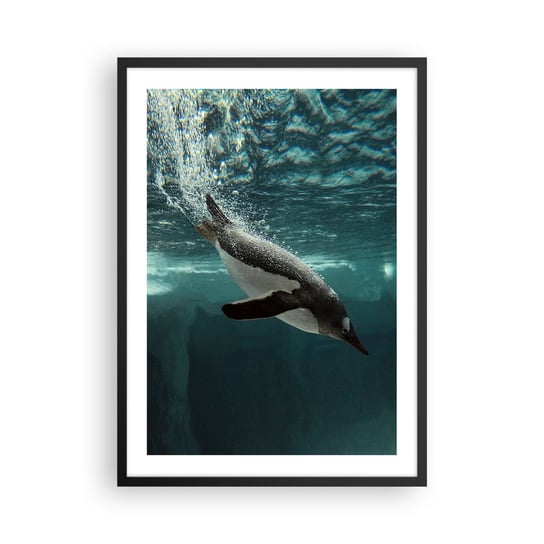 Obraz - Plakat - Witaj w moim świecie - 50x70cm - Pingwin Zwierzęta Natura - Nowoczesny modny obraz Plakat czarna rama ARTTOR ARTTOR
