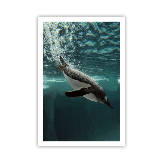Obraz - Plakat - Witaj w moim świecie - 61x91cm - Pingwin Zwierzęta Natura - Foto Plakaty na ścianę bez ramy - Plakat do Salonu Sypialni ARTTOR ARTTOR