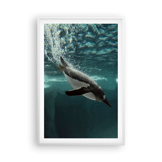 Obraz - Plakat - Witaj w moim świecie - 61x91cm - Pingwin Zwierzęta Natura - Foto Plakaty na ścianę w ramie białej - Plakat do Salonu Sypialni ARTTOR ARTTOR