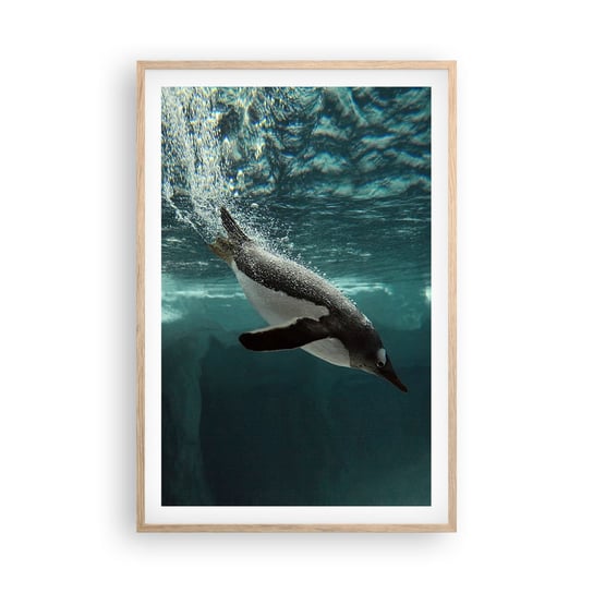 Obraz - Plakat - Witaj w moim świecie - 61x91cm - Pingwin Zwierzęta Natura - Foto Plakaty na ścianę w ramie jasny dąb - Plakat do Salonu Sypialni ARTTOR ARTTOR
