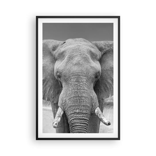 Obraz - Plakat - Witaj w moim świecie - 61x91cm - Słoń Afryka Zwierzęta - Foto Plakaty na ścianę w czarnej ramie - Plakat do Salonu Sypialni ARTTOR ARTTOR