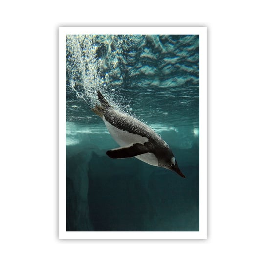 Obraz - Plakat - Witaj w moim świecie - 70x100cm - Pingwin Zwierzęta Natura - Foto Plakaty bez ramy na ścianę do Salonu Sypialni ARTTOR ARTTOR