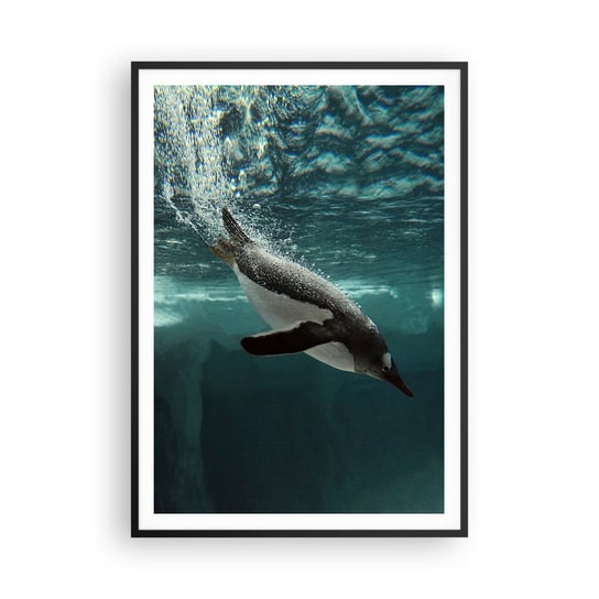 Obraz - Plakat - Witaj w moim świecie - 70x100cm - Pingwin Zwierzęta Natura - Foto Plakaty w ramie koloru czarnego do Salonu Sypialni ARTTOR ARTTOR