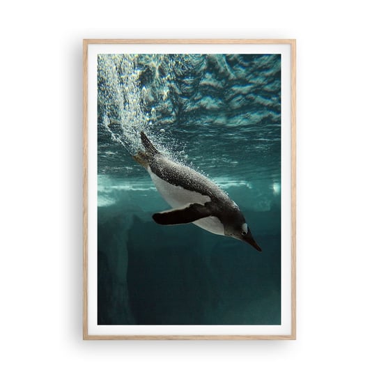 Obraz - Plakat - Witaj w moim świecie - 70x100cm - Pingwin Zwierzęta Natura - Foto Plakaty w ramie koloru jasny dąb do Salonu Sypialni ARTTOR ARTTOR