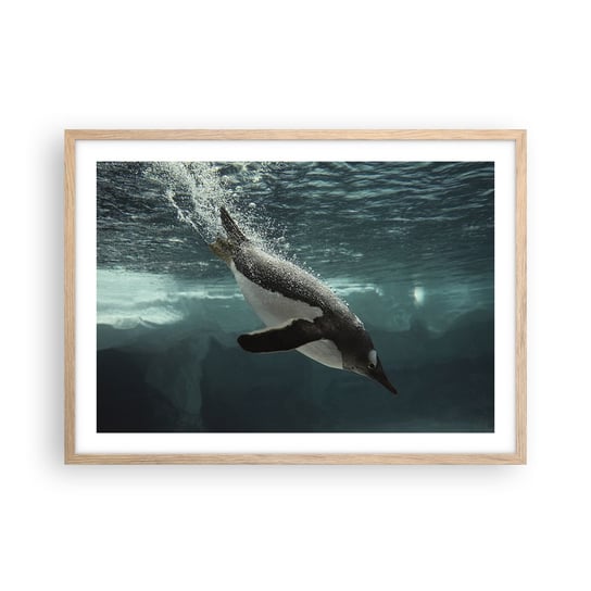 Obraz - Plakat - Witaj w moim świecie - 70x50cm - Pingwin Zwierzęta Natura - Nowoczesny modny obraz Plakat rama jasny dąb ARTTOR ARTTOR