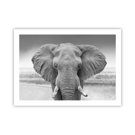 Obraz - Plakat - Witaj w moim świecie - 70x50cm - Słoń Afryka Zwierzęta - Nowoczesny modny obraz Plakat bez ramy do Salonu Sypialni ARTTOR ARTTOR