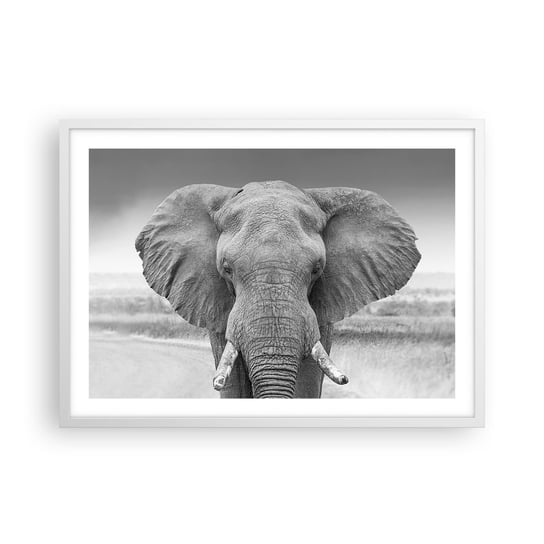 Obraz - Plakat - Witaj w moim świecie - 70x50cm - Słoń Afryka Zwierzęta - Nowoczesny modny obraz Plakat rama biała ARTTOR ARTTOR
