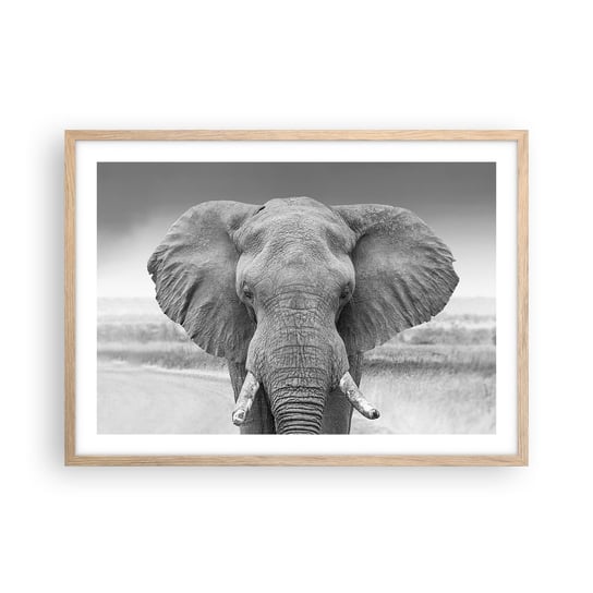 Obraz - Plakat - Witaj w moim świecie - 70x50cm - Słoń Afryka Zwierzęta - Nowoczesny modny obraz Plakat rama jasny dąb ARTTOR ARTTOR