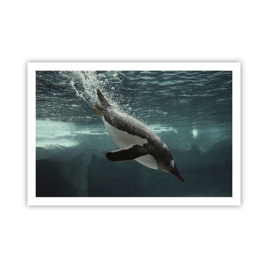 Obraz - Plakat - Witaj w moim świecie - 91x61cm - Pingwin Zwierzęta Natura - Foto Plakaty na ścianę bez ramy - Plakat do Salonu Sypialni ARTTOR ARTTOR