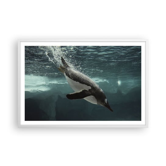Obraz - Plakat - Witaj w moim świecie - 91x61cm - Pingwin Zwierzęta Natura - Foto Plakaty na ścianę w ramie białej - Plakat do Salonu Sypialni ARTTOR ARTTOR