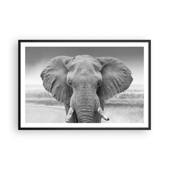 Obraz - Plakat - Witaj w moim świecie - 91x61cm - Słoń Afryka Zwierzęta - Foto Plakaty na ścianę w czarnej ramie - Plakat do Salonu Sypialni ARTTOR ARTTOR