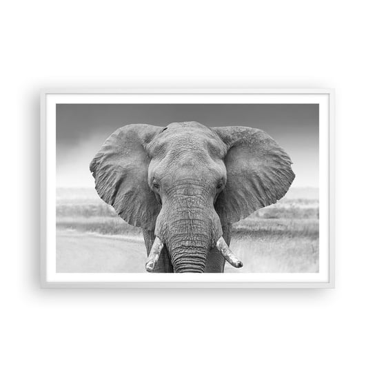 Obraz - Plakat - Witaj w moim świecie - 91x61cm - Słoń Afryka Zwierzęta - Foto Plakaty na ścianę w ramie białej - Plakat do Salonu Sypialni ARTTOR ARTTOR