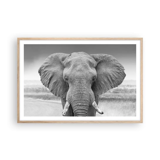 Obraz - Plakat - Witaj w moim świecie - 91x61cm - Słoń Afryka Zwierzęta - Foto Plakaty na ścianę w ramie jasny dąb - Plakat do Salonu Sypialni ARTTOR ARTTOR