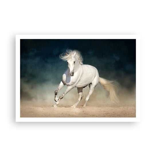 Obraz - Plakat - Wolność w stanie czystym - 100x70cm - Koń Zwierzę Biały - Foto Plakaty bez ramy na ścianę do Salonu Sypialni ARTTOR ARTTOR