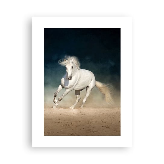Obraz - Plakat - Wolność w stanie czystym - 30x40cm - Koń Zwierzę Biały - Foto Plakaty na ścianę bez ramy - Plakat do Salonu Sypialni ARTTOR ARTTOR