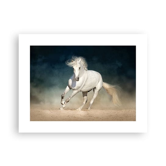 Obraz - Plakat - Wolność w stanie czystym - 40x30cm - Koń Zwierzę Biały - Foto Plakaty na ścianę bez ramy - Plakat do Salonu Sypialni ARTTOR ARTTOR