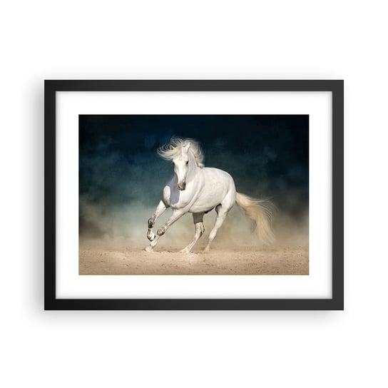 Obraz - Plakat - Wolność w stanie czystym - 40x30cm - Koń Zwierzę Biały - Foto Plakaty na ścianę w czarnej ramie - Plakat do Salonu Sypialni ARTTOR ARTTOR