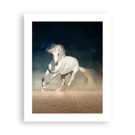 Obraz - Plakat - Wolność w stanie czystym - 40x50cm - Koń Zwierzę Biały - Foto Plakaty bez ramy do Salonu Sypialni ARTTOR ARTTOR