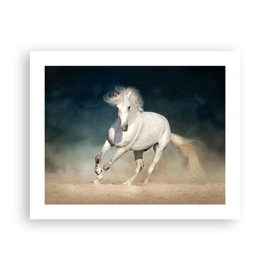 Obraz - Plakat - Wolność w stanie czystym - 50x40cm - Koń Zwierzę Biały - Foto Plakaty bez ramy do Salonu Sypialni ARTTOR ARTTOR