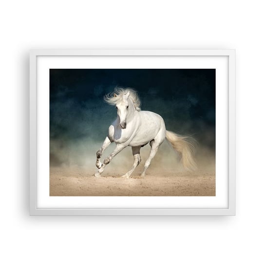 Obraz - Plakat - Wolność w stanie czystym - 50x40cm - Koń Zwierzę Biały - Foto Plakaty w ramie koloru białego do Salonu Sypialni ARTTOR ARTTOR