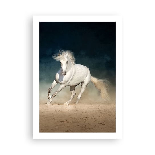 Obraz - Plakat - Wolność w stanie czystym - 50x70cm - Koń Zwierzę Biały - Nowoczesny modny obraz Plakat bez ramy do Salonu Sypialni ARTTOR ARTTOR
