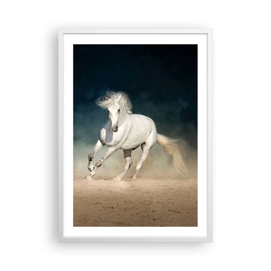 Obraz - Plakat - Wolność w stanie czystym - 50x70cm - Koń Zwierzę Biały - Nowoczesny modny obraz Plakat rama biała ARTTOR ARTTOR