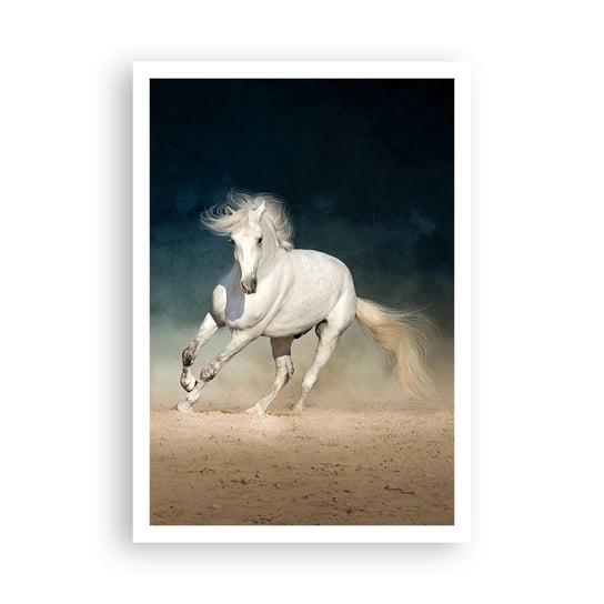 Obraz - Plakat - Wolność w stanie czystym - 70x100cm - Koń Zwierzę Biały - Foto Plakaty bez ramy na ścianę do Salonu Sypialni ARTTOR ARTTOR
