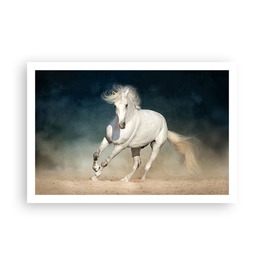 Obraz - Plakat - Wolność w stanie czystym - 91x61cm - Koń Zwierzę Biały - Foto Plakaty na ścianę bez ramy - Plakat do Salonu Sypialni ARTTOR ARTTOR