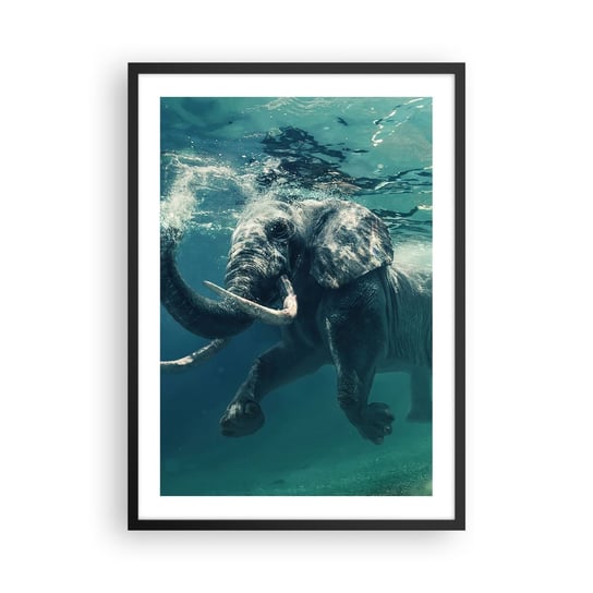 Obraz - Plakat - Wszyscy lubią pływać - 50x70cm - Abstrakcja Słoń Sztuka - Nowoczesny modny obraz Plakat czarna rama ARTTOR ARTTOR