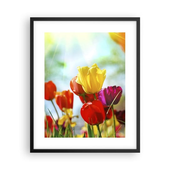 Obraz - Plakat - Wszystkie barwy słońca - 40x50cm - Tulipany Kwiaty Łąka - Foto Plakaty w ramie koloru czarnego do Salonu Sypialni ARTTOR ARTTOR