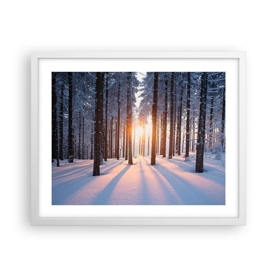 Obraz - Plakat - Wyraźnie czarno na białym - 50x40cm - Krajobraz Las Śnieg - Foto Plakaty w ramie koloru białego do Salonu Sypialni ARTTOR ARTTOR