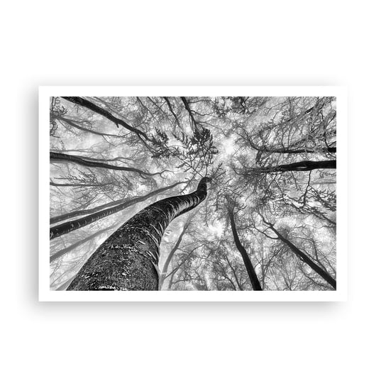 Obraz - Plakat - Wyścig do światła - 100x70cm - Las Drzewa Natura - Foto Plakaty bez ramy na ścianę do Salonu Sypialni ARTTOR ARTTOR