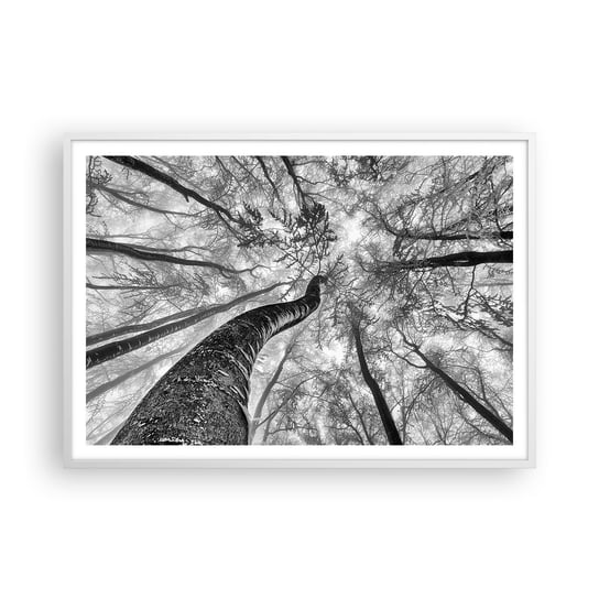 Obraz - Plakat - Wyścig do światła - 100x70cm - Las Drzewa Natura - Foto Plakaty w ramie koloru białego do Salonu Sypialni ARTTOR ARTTOR