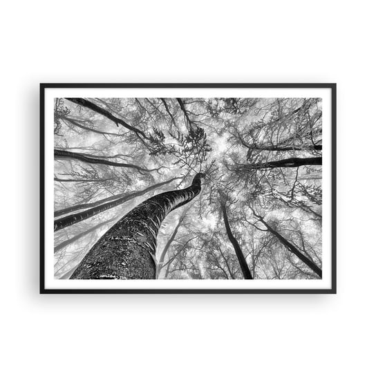 Obraz - Plakat - Wyścig do światła - 100x70cm - Las Drzewa Natura - Foto Plakaty w ramie koloru czarnego do Salonu Sypialni ARTTOR ARTTOR