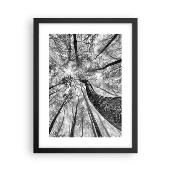 Obraz - Plakat - Wyścig do światła - 30x40cm - Las Drzewa Natura - Foto Plakaty na ścianę w czarnej ramie - Plakat do Salonu Sypialni ARTTOR ARTTOR