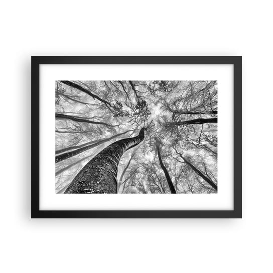 Obraz - Plakat - Wyścig do światła - 40x30cm - Las Drzewa Natura - Foto Plakaty na ścianę w czarnej ramie - Plakat do Salonu Sypialni ARTTOR ARTTOR