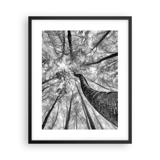 Obraz - Plakat - Wyścig do światła - 40x50cm - Las Drzewa Natura - Foto Plakaty w ramie koloru czarnego do Salonu Sypialni ARTTOR ARTTOR